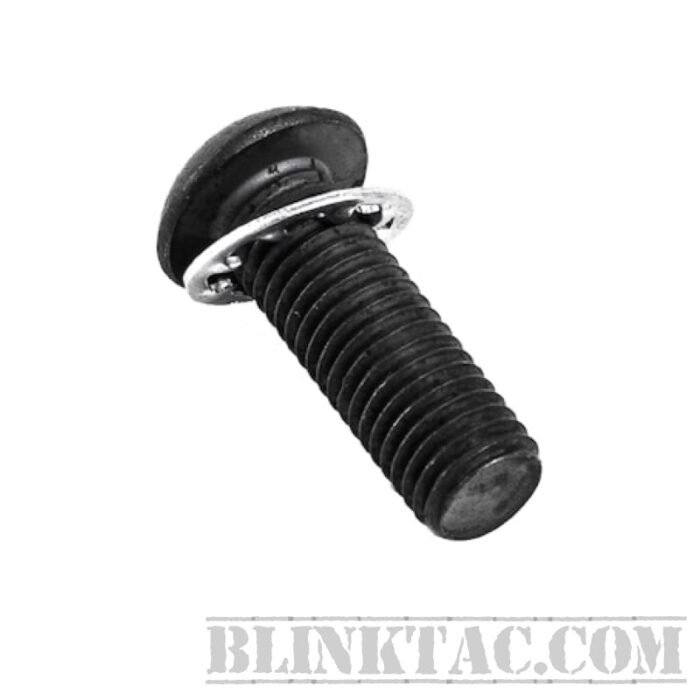 Pistol Grip Screw and Lock Washer